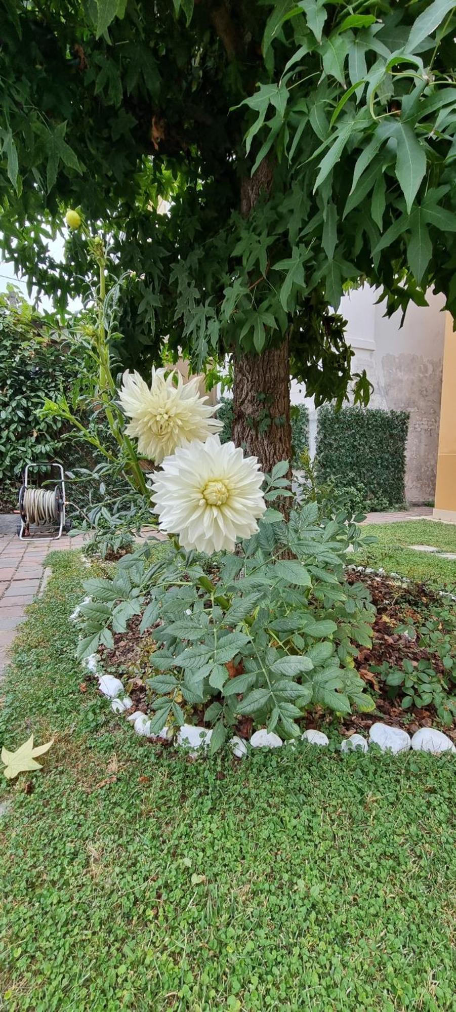 Unahotels Eco Hotel Villa Costanza Venezia Mestre Dış mekan fotoğraf